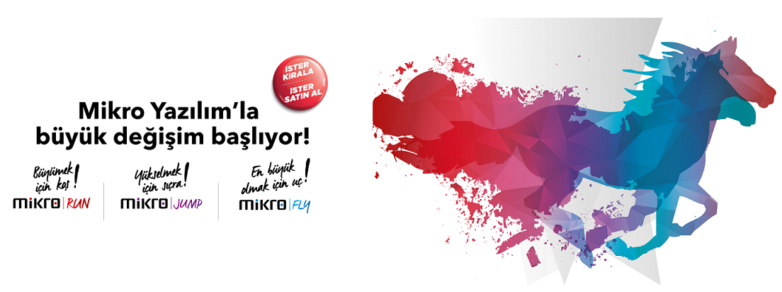 Mikro ERP Danışmanlığı